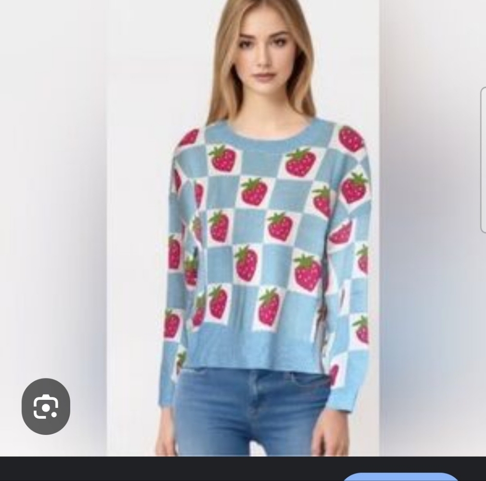 Luna Ivy Anthropologie Checkered Strawberry Sweater